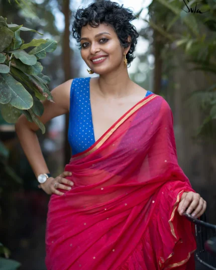 Blue Silk Sleeveless V Neck Benarasi Blouse