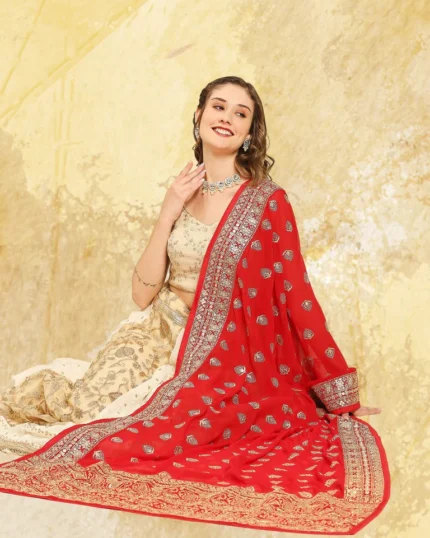 Heavily Embroidered Designer Georgette Dupatta